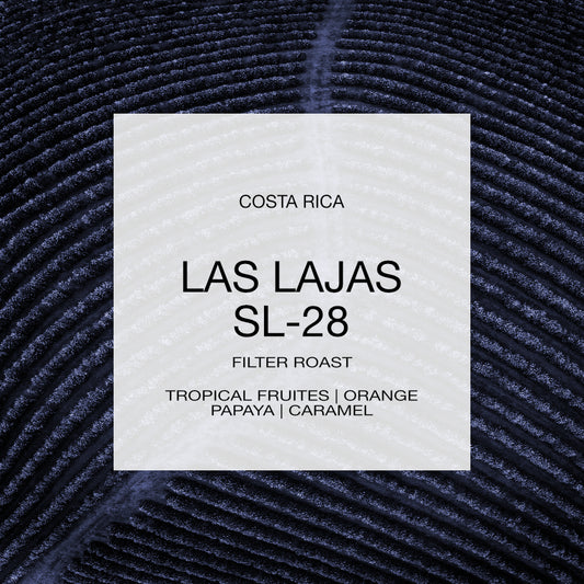 COSTA RICA | LAS LAJAS SL-28