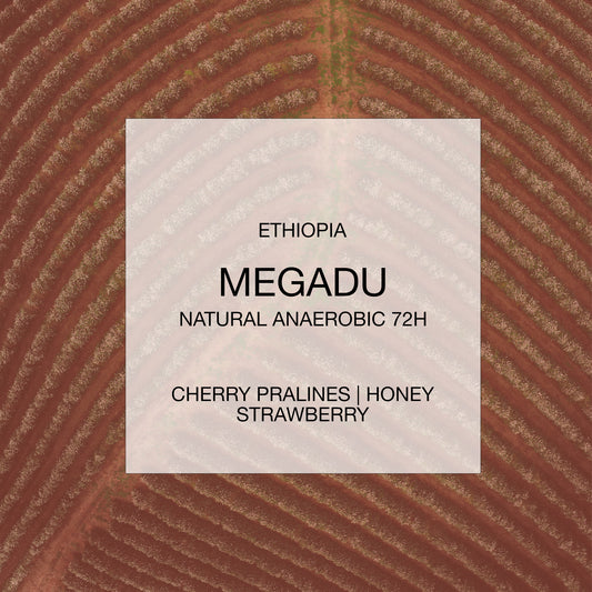 ETHIOPIA | MEGADU