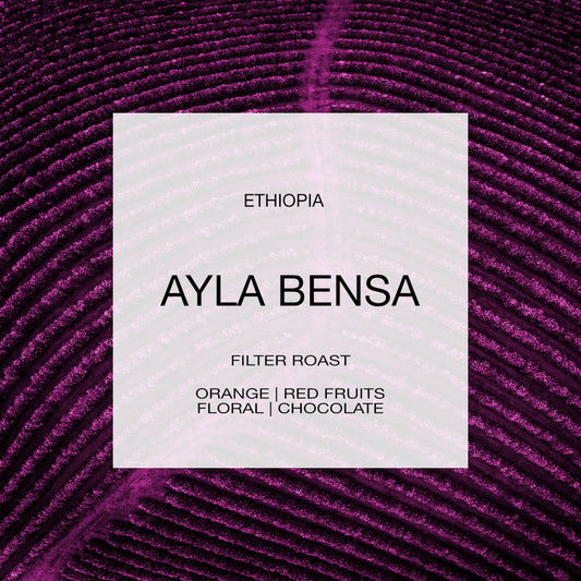 ETHIOPIA | AYLA BENSA