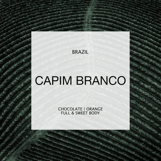 BRAZIL | CAPIM BRANCO