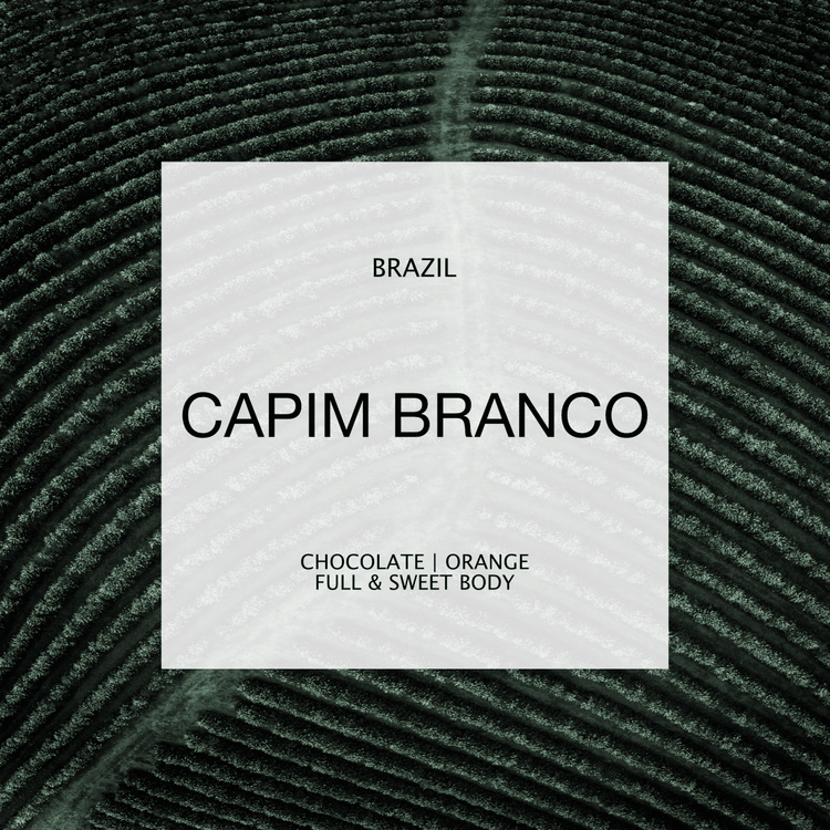 BRAZIL | CAPIM BRANCO